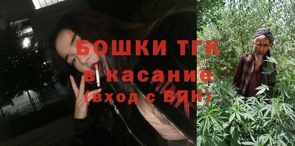 тгк Богородицк