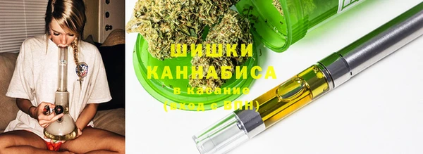 индика Новодвинск